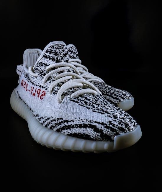 yeezy 350 size guide