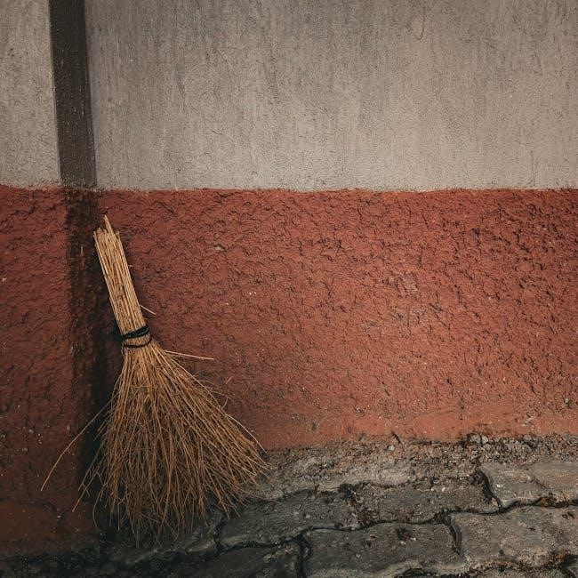 room on the broom pdf